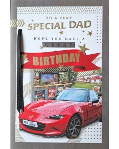 To A Very Special Dad. Hope You Have A Great Birthday Card 23x15cm (9x6 Inches)