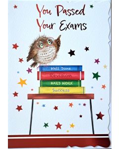 You Passsed Your Exams Greeting Card. 19x13cm. For A-Level, GCSE, Degree or Other