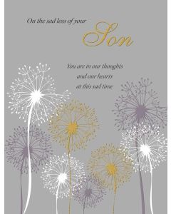 On The Sad Loss Of Your Son. Sympathy Card. 19x13cm