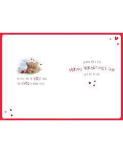 To My Wonderful Partner on Valentine's Day. 23x15cm (9x6 Inches)
