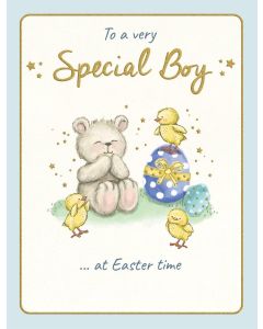 To A Very Special Boy At Easter Time Card. 19x13cm (8x6 Inches)