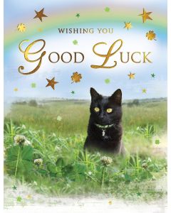 Wishing You Good Luck Card. 19x13cm