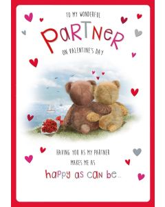 To My Wonderful Partner on Valentine's Day. 23x15cm (9x6 Inches)