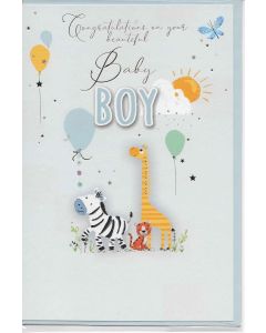 Baby Boy Newborn Greeting Card 19x13cm (8x6 Inches)