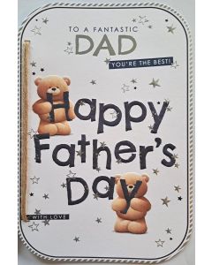 To A Fantastic Dad You're The Best. Father's Day Card. 23x15cm