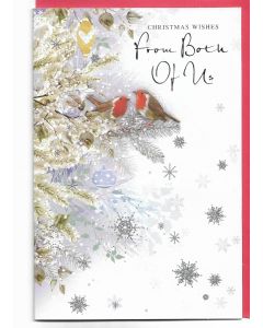 From Both Of Us Christmas Card. Picture Of Robins. 23x15cm (9x6 Inches)